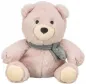 Preview: Teddy